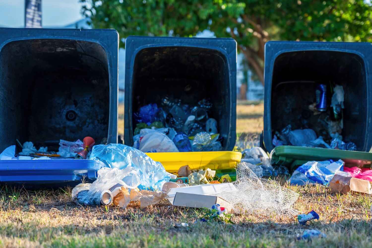  Willow Park, TX ClearOut Junk Removal Pros